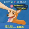 hình ảnh chó