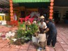 Rộn ràng ngày tết trồng cây